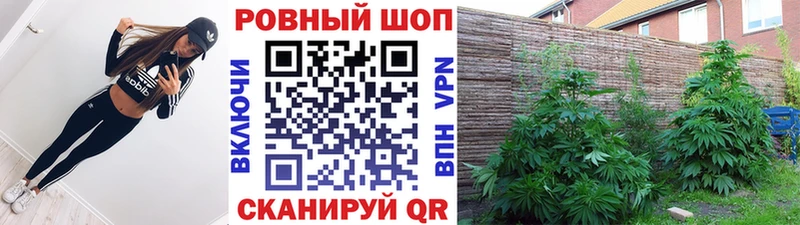 Все наркотики Сальск Гашиш АМФ блэк спрут как войти Конопля COCAIN МЕФ