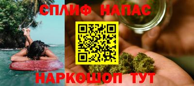 PSILOCYBIN Можга