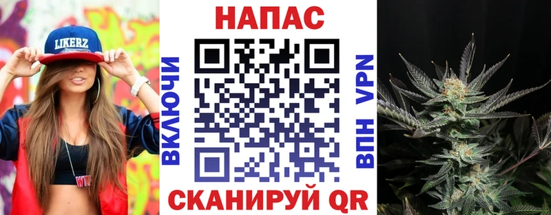 блэк спрут сайт  Сальск  Шишки марихуана White Widow  где продают наркотики 
